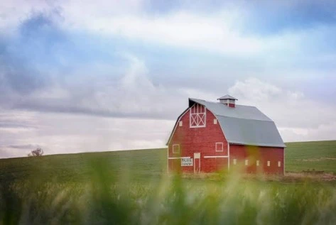 Farm