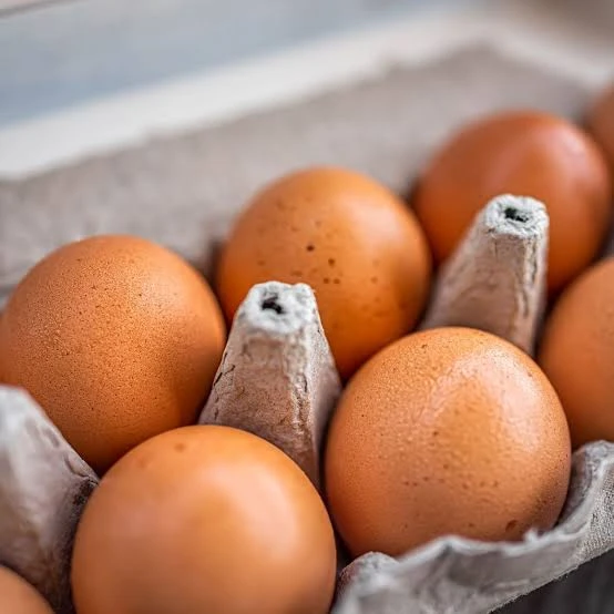 Egg